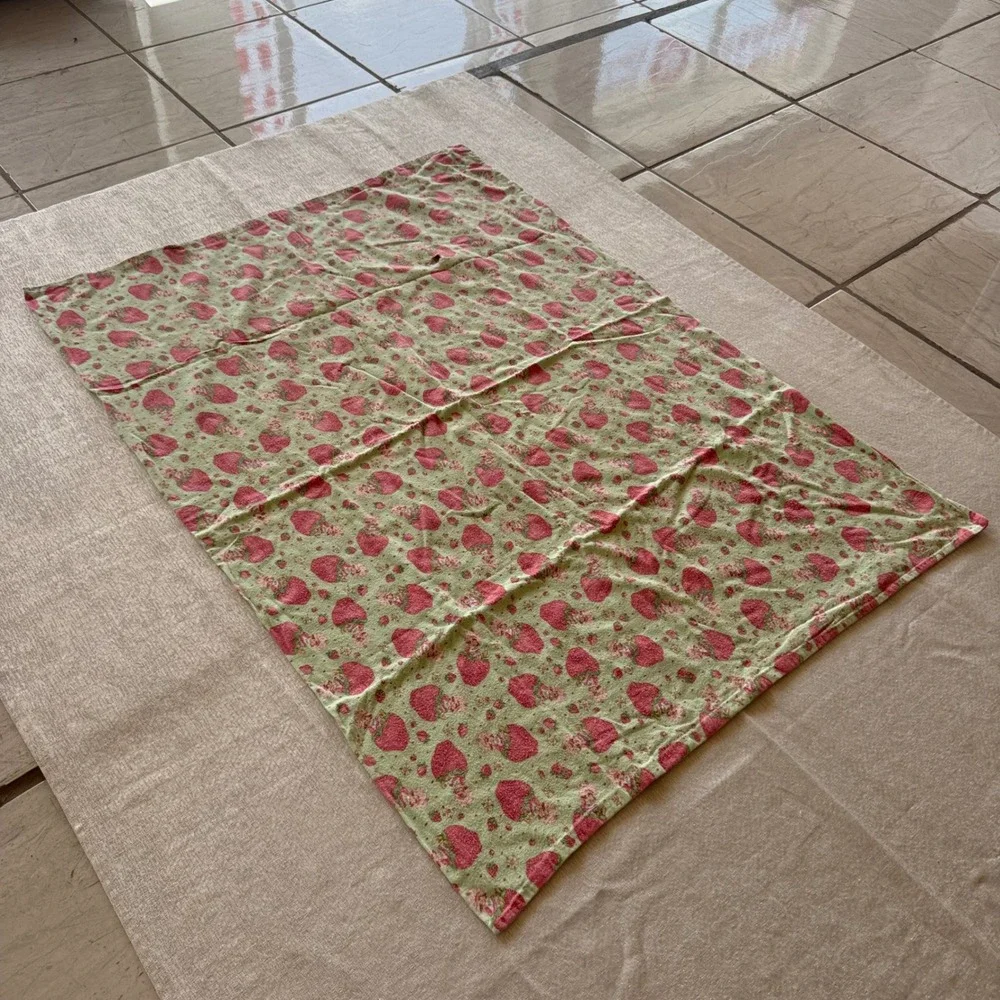 Vintage 2003 Strawberry Shortcake Green Flannel Blanket 43x32 Double Layer